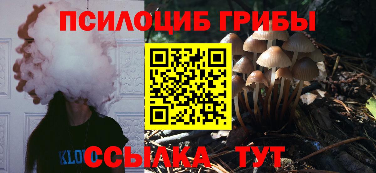 Псилоцибиновые грибы ЛСД  Вход с VPN  Новодвинск 